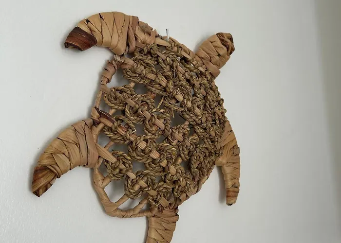 Daire Golfe De Saint Tropez, 5min Beach, 1 , 1 Canape Lit , Terrasse